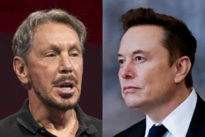 larry ellison elon musk
